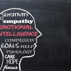The Self-Rated Emotional Intelligence Scale
