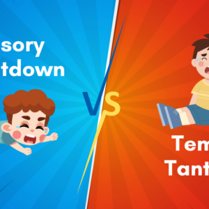 Comparing Meltdowns and Tantrums